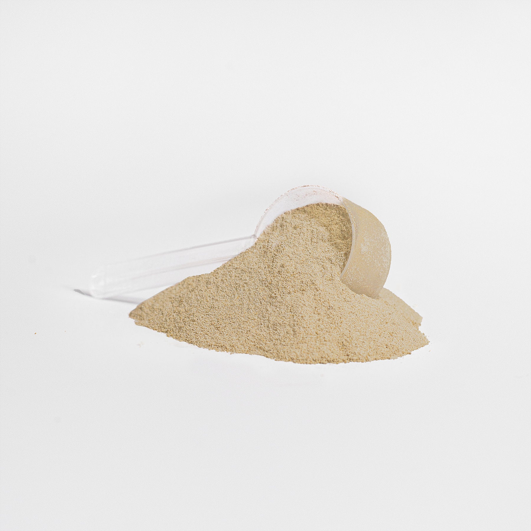 Premium Vanilla Whey Protein Isolate for Muscle Recovery